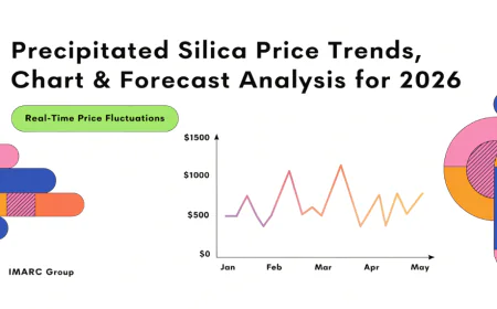 Precipitated Silica Price Trend and Forecast 2026 Data | IMARC Group