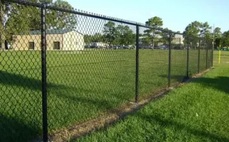 Why a Professional Fence Maintenance Service Can Save You Thousands Over the Life of Your Fence