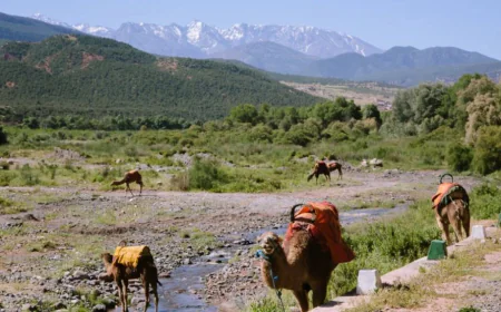 The Most Beautiful Scenic Routes Through the Atlas Mountains Morocco