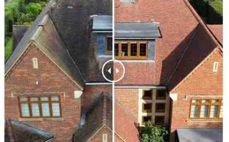 Is Your Roof Secretly Aging Faster? Discover Why Roof Cleaning Services Are the Smartest Home Investment