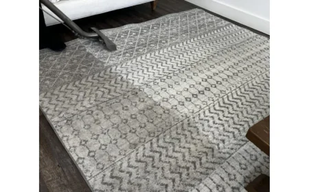What Should You Expect When Hiring a Professional Carpet Cleaning Company?