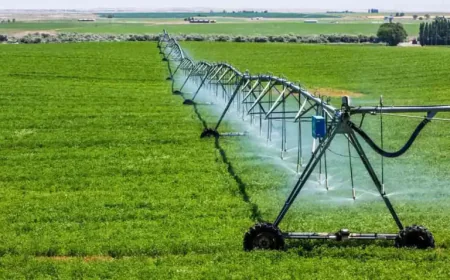 Why Is Proper Drainage Important for a Lawn Sprinkler Irrigation System?