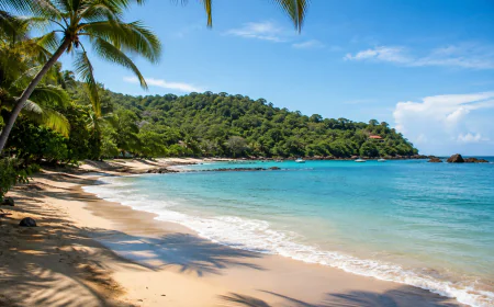 What Are the Most Beautiful Beaches to Visit in Costa Rica