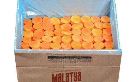Malatya Apricots: What Makes the World’s Best Apricots So Special?