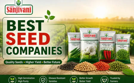 Best Seed Companies(Sanjivaniseeds): A Complete Guide for Farmers
