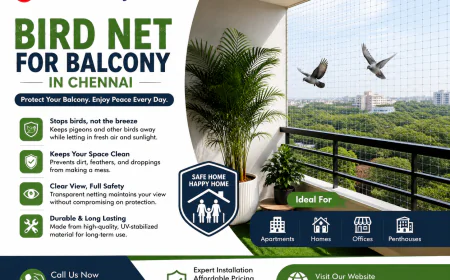 Choosing the Right Safety Net Service for Your Chennai Home