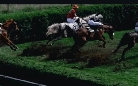 Delhi Horse Race: Understanding the Tradition and Thrill Behind Horse Racing