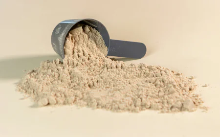 US Protein Supplements Market: Size, Trends, Drivers, and Strategic Insights