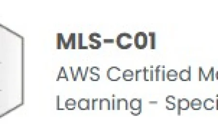 AWS Certified Machine Learning - Specialty