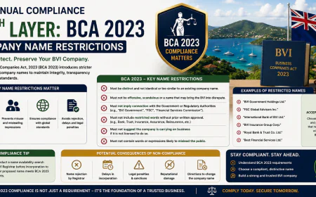 BVI Annual Compliance 10th Layer: BCA 2023 Company Name Restrictions