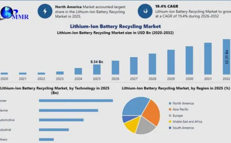 Lithium-Ion Battery Recycling Market Competitive Analysis and Development Key Insights