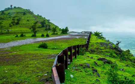 Escape to the Hills: 5 Hill Stations Near Ahmedabad for a Perfect Weekend Getaway