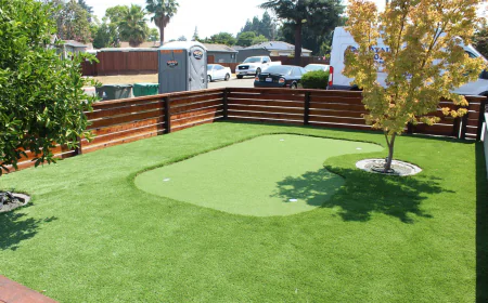 How Professional Landscaping Can Improve Your Home’s Curb Appeal
