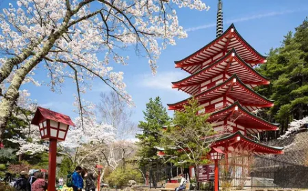 Japan Travel: Your Complete Guide to Exploring the Land of the Rising Sun