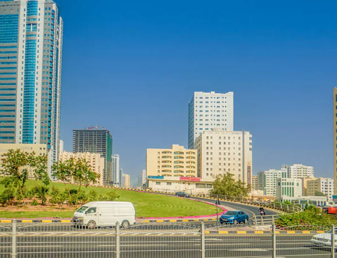 Feasibility Study Solutions for UAE Businesses Today