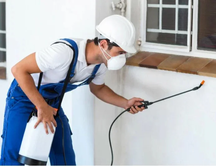 Why Is Fast Pest and Wasp Removal Essential for Keller Homeowners?