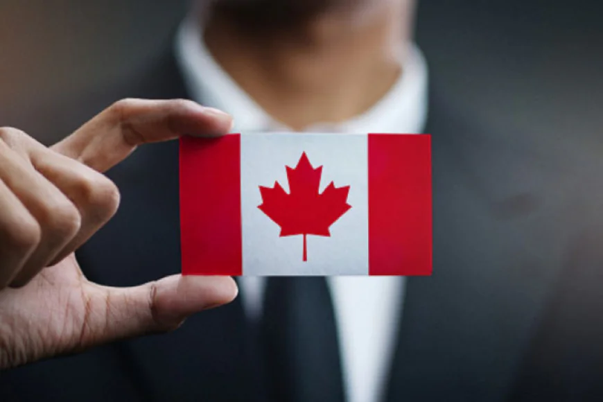 Onshore Immigration Recognized as a Trusted Choice for the Best Immigration Consultant in Mississauga