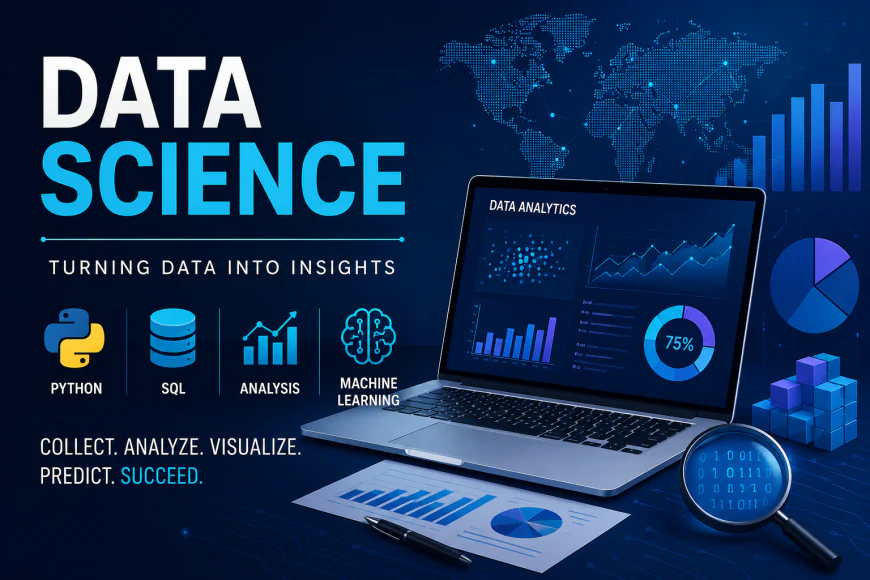 How to Start a Career in Data Science with No Experience