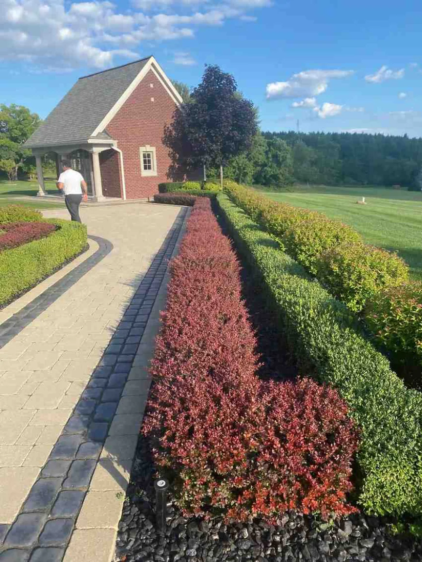 Choosing a Michigan Landscape Designer: Questions to Ask Before You Sign