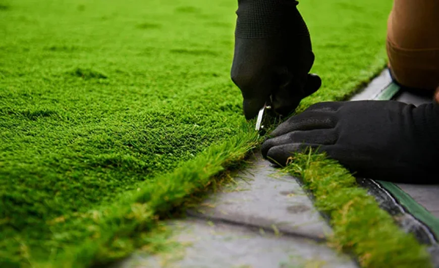 What Homeowners Should Know Before Hiring a Full-Service Landscaping Company in Surprise, AZ