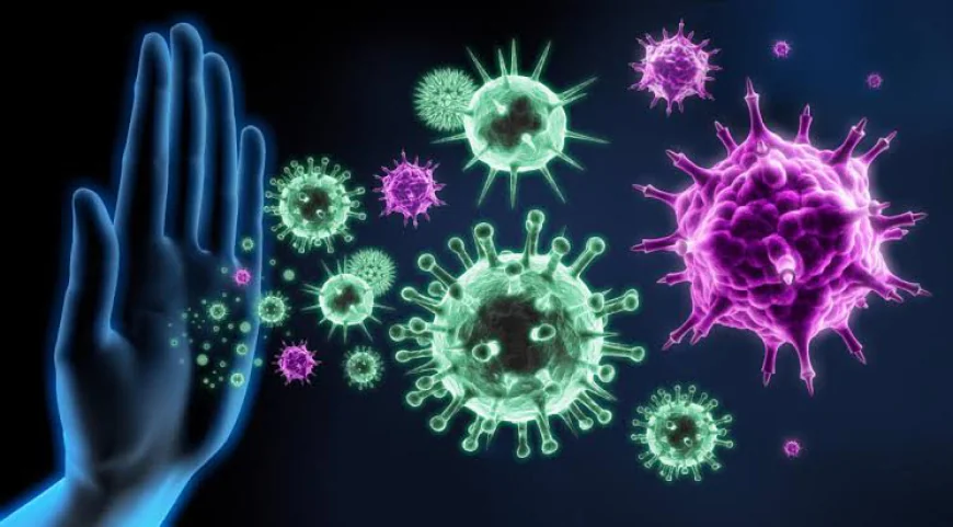 Is Immune System Boost Important for Healthy Living