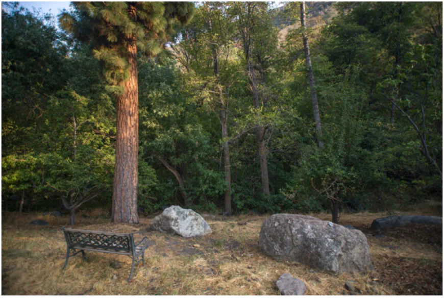 Sequoias Campground & Lodges: A Complete Guide to Nature Stays and Riverside Comfort