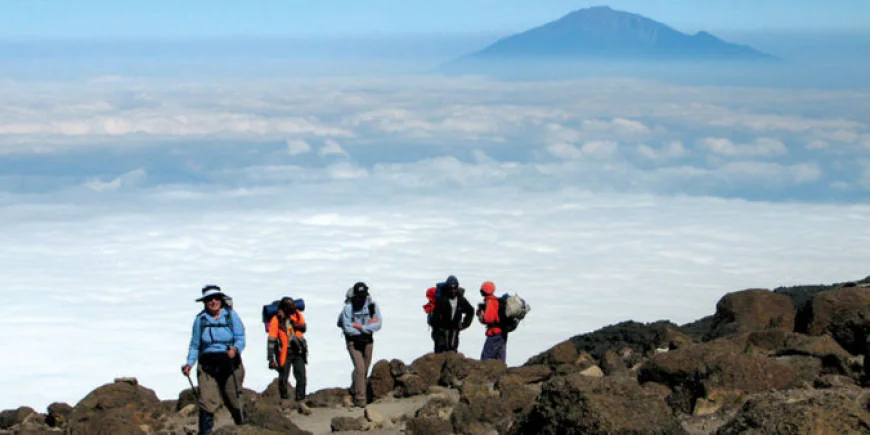 Climbing Kilimanjaro Guide: Everything You Need to Know Before Africa's Highest Summit Adventure