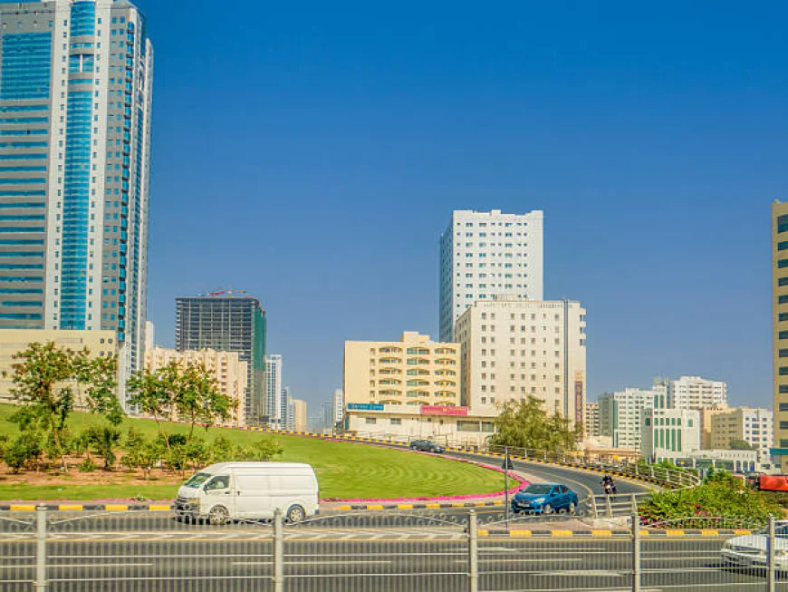 Feasibility Study Solutions for UAE Businesses Today