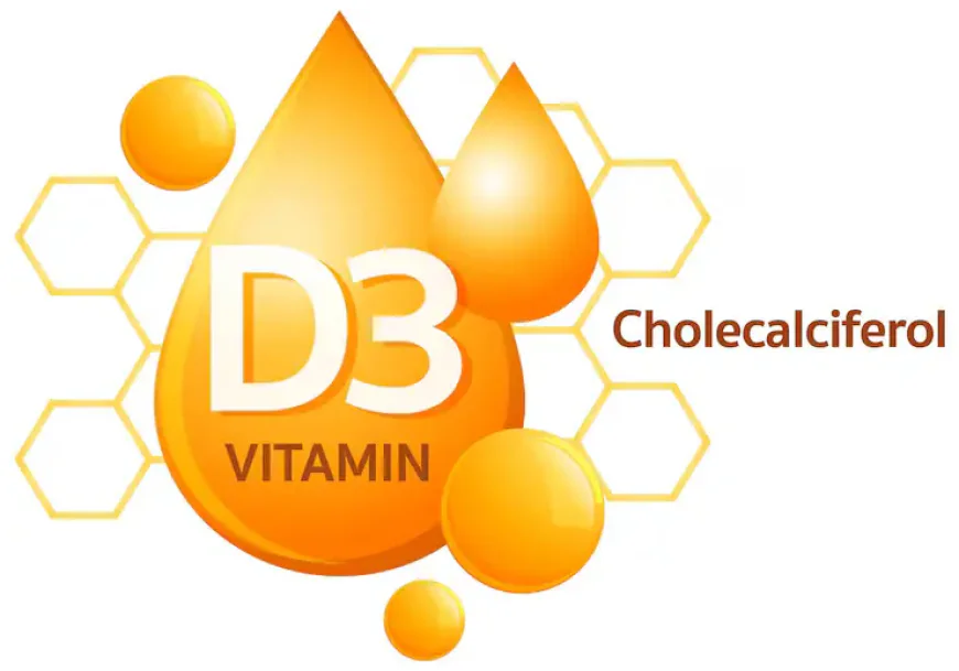 Vegan Vitamin D3 and K2: Complete Selection Guide