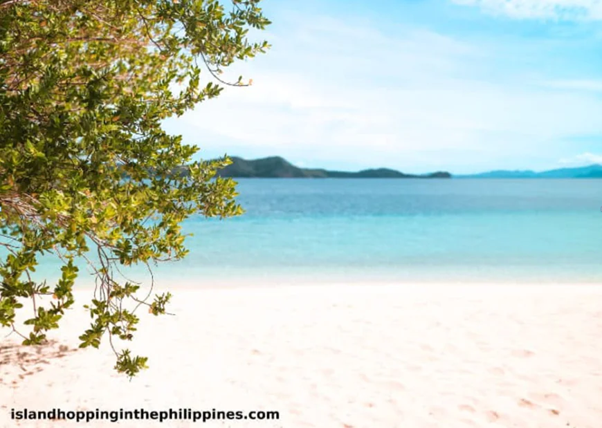 EL Nido vs Coron Ferry or Private Boat Which is Better