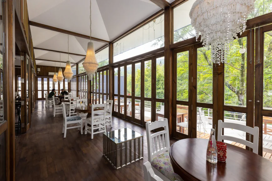 Cafe in Dehradun: Discover a Nature-Inspired Dining Experience at Foresta Cafe