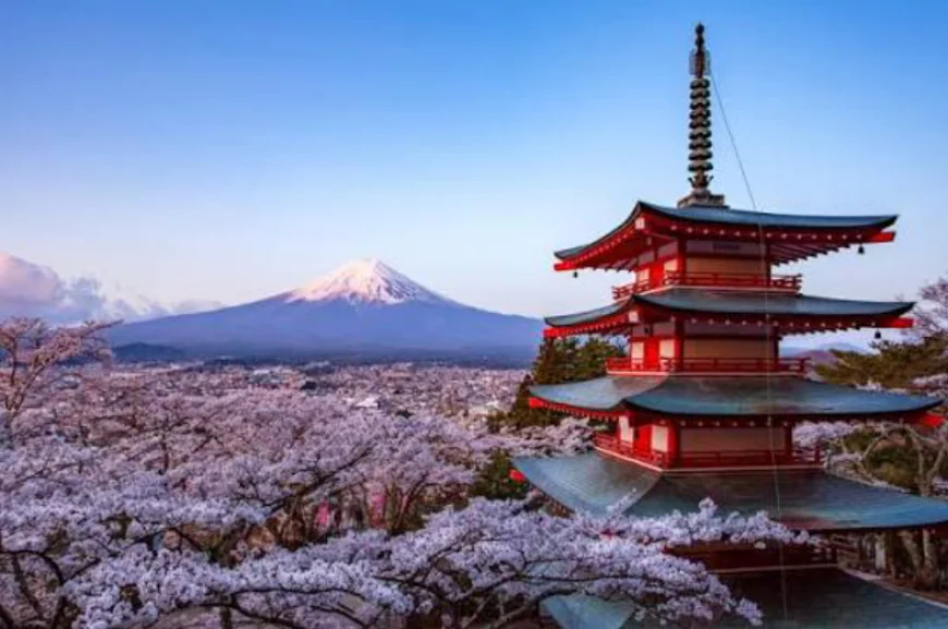 Complete Japan Travel Guides for Every Traveler