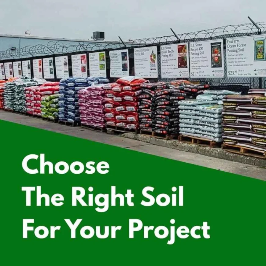 Potting Soil vs Garden Soil: East Bay Guide