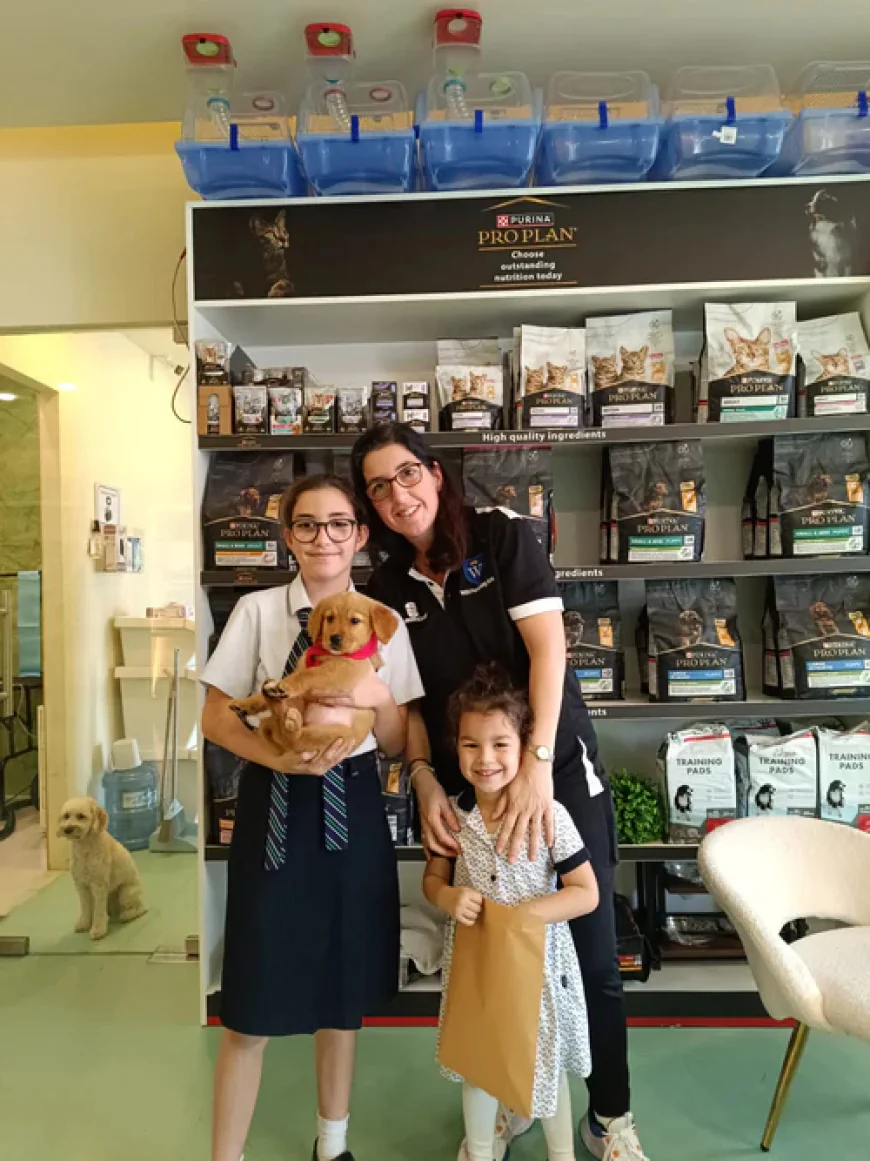 Effective Professional Dog Training Dubai for Your New Pet