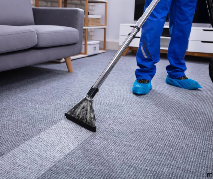 Carpet Cleaning Services in Charlotte, NC, Before Holidays: Refresh Floors for Events