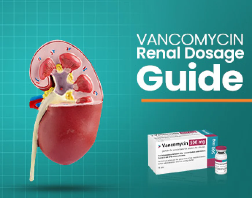 Vancomycin Renal Dose Adjustment Guide