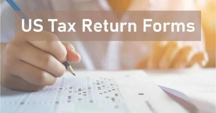Professional US Tax Returns Filling Services for NRIs and Expats