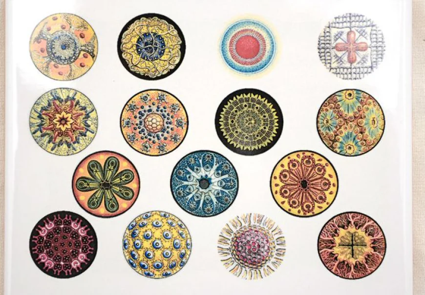 Circle Decals for Clean and Simple Everyday Design