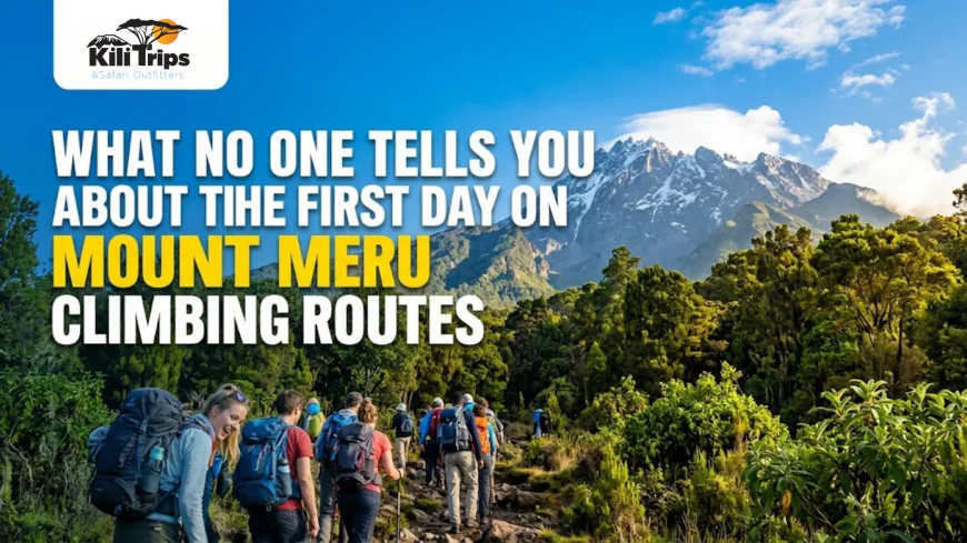 Your First Day on Mount Meru Isn’t What You Expect—Here’s What Really Happens