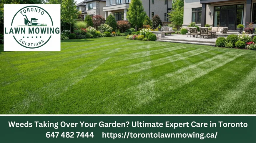 Weeds Taking Over Your Garden? Ultimate Expert Care in Toronto