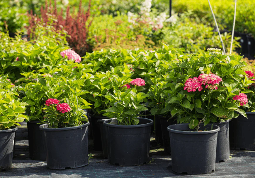 How Proper Garden Maintenance Saves Time and Reduces Landscaping Costs
