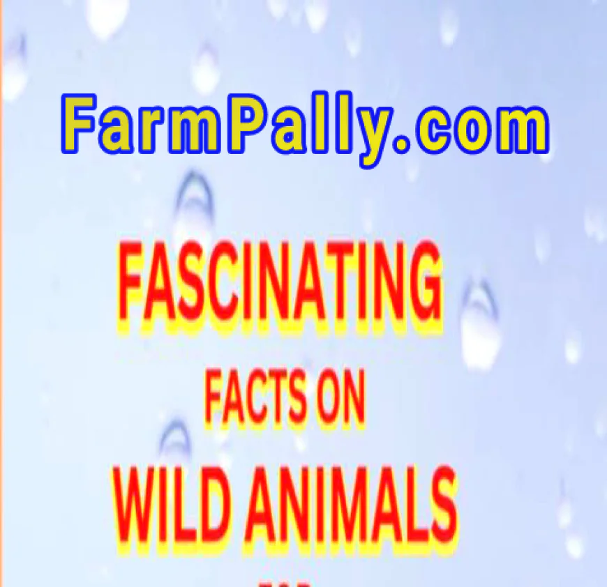 5 Fascinating Facts About Wild Animals - FarmPally