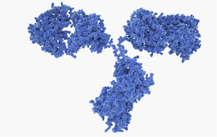 Hantavirus Research Reagents and Products to Accelerate Global Diagnostic and Vaccine Research
