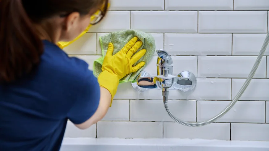 How Long to Leave a Clorox Wand in the Toilet?