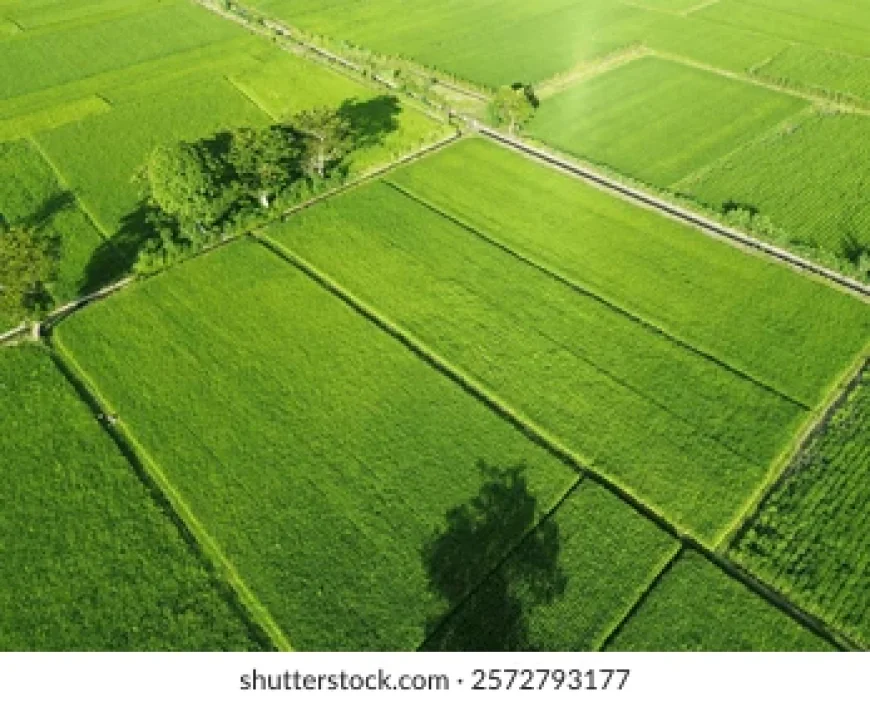 Exploring Century Plots Yelahanka and Mysore for Future Homebuyers