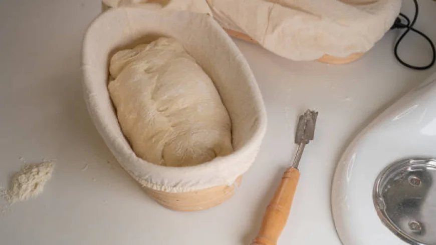 Bread Proofer & Bread Baking Supplies for Every Baker