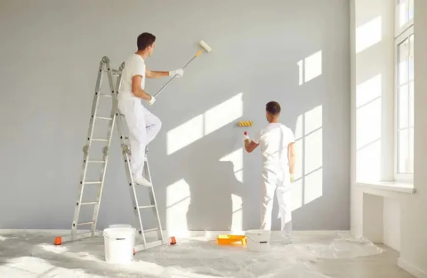 Painter: Transform Your Property with Professional Painting Services
