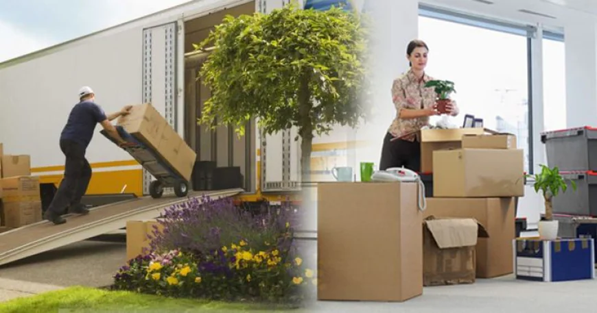 What to Expect When Working with Professional Movers
