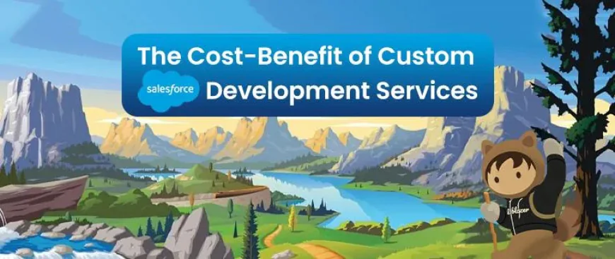 The Cost-Benefit of Custom Salesforce Development Services