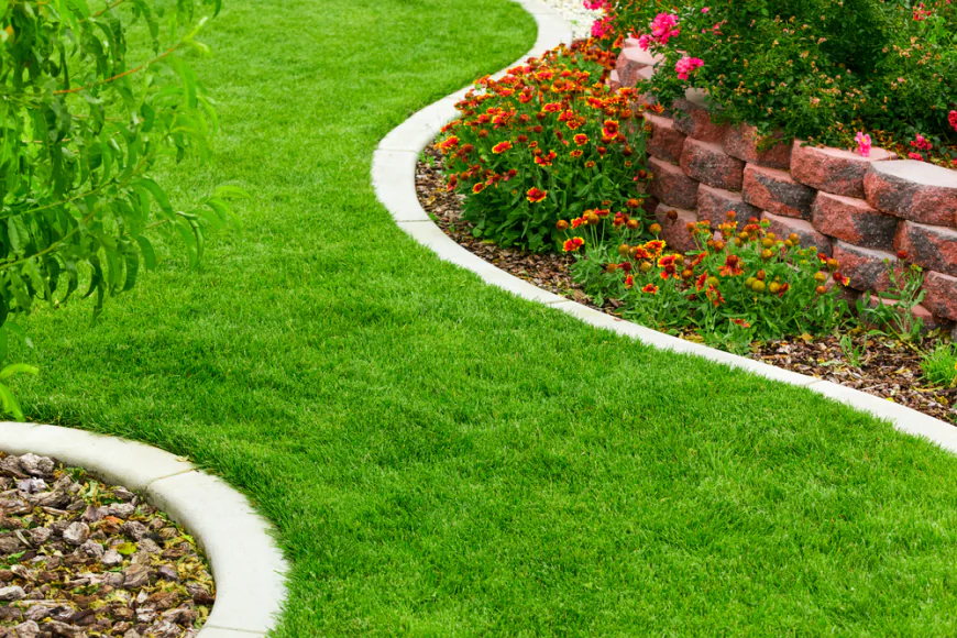 Commercial Landscaping Services in Arlington TX: Creating Professional and Attractive Business Landscapes